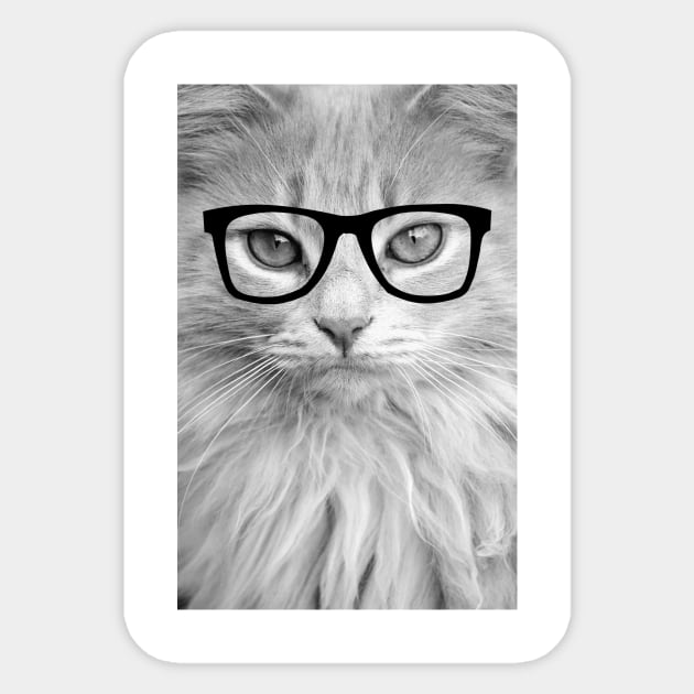 Hippest Cat Sticker by allysonjohnson